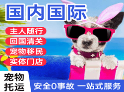 沧源佤山航空快运国际宠物托运 【国